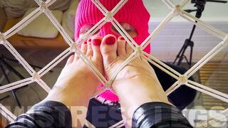 Hammock Goddess Worship Part 1 - POV Toe Sucking And Slave Tongue Service Under My Feet (MP4 HD)