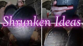 Shrunken Ideas mp4