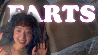 I sit in the transparent chair and fart for you