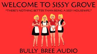 Welcome To Sissy Grove Audio