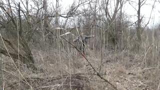 lose a boot in the forest