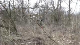 lose a boot in the forest m