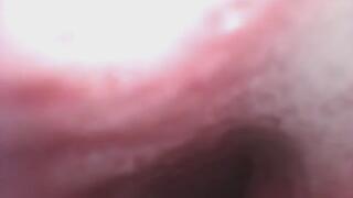 Return To Baileys Stomach