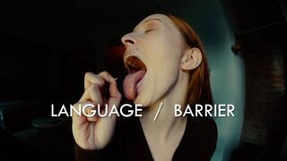 Language Barrier - Milena VFX HQE