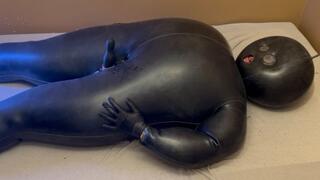 Huge Inflated Latex Suit Edging & Tease