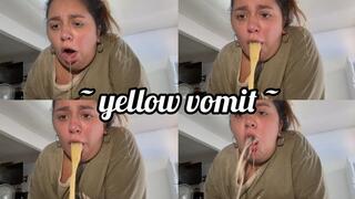 Yellow vomit in the kitchen