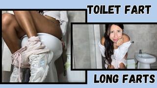 Desperation + farts + toilet