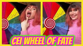 CEI Wheel Of Fate
