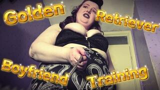 Golden Retriever Boyfriend Training (720)