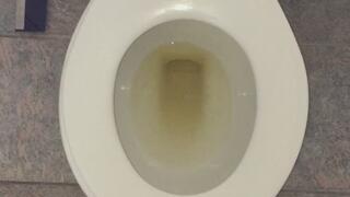 I PISS GOLD IN MY TOILET MSN THE ZONE