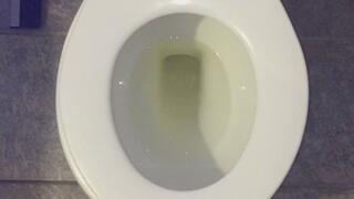 I PEE GOLD IN MY TOILET TOUCHDOWN TELEGRAM