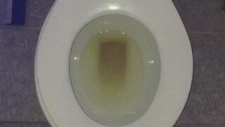 LIL MISS PLAYER PEER