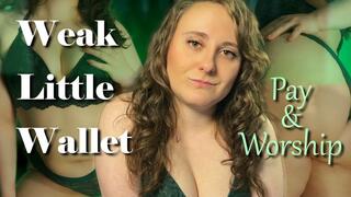 FemDom Goddess Humiliation - Weak Little Wallet