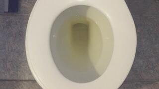HANNAH MONTANA SIZE PEE IN MY TOILET