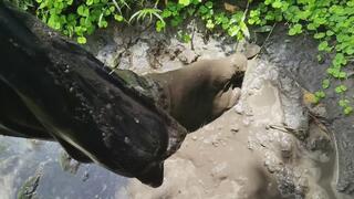 Muddy socks and silk outfit