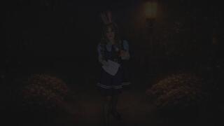 An Officer's Discretion