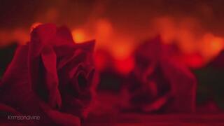 Where You Belong: Episode One “Let’s Fall Together”