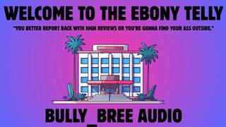 Welcome To The Ebony Telly CUSTOM Audio