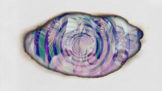 MANTRA GOON LOOP - Pump and tribute, edge and spend, this loop mantra will never end.