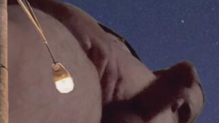 Gigantic Jay Over My House