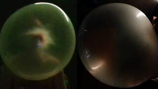 quench lemon 20p mar 25