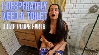 I Disperately need a toilet: dump plops farts