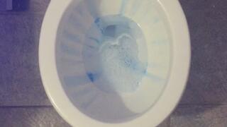 CARNEVAL TOILET TODAY