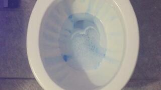 CARNEVIL TOILET TODAY