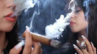 Beautiful Woman Smoking a Cigar