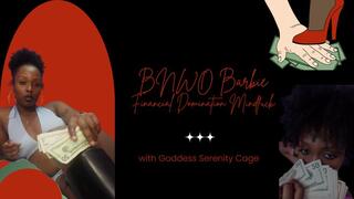 BNWO Barbie Financial Domination Mindfuck