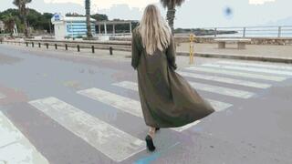 Taking Tim for a Walk AVI