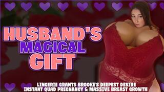 Husband's Magical Gift: Lingerie Grants Brooke's Deepest Desire - Instant Quad Pregnancy & Massive Breast Growth