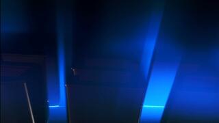 Biceps and Triceps - UltraHD (MP4)