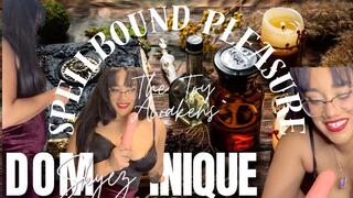 Spellbound Pleasure: The Toy Awakens