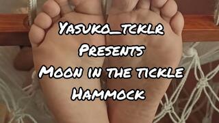 Moon in the tickle hammock