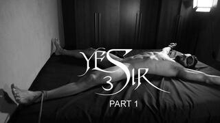 YES SIR 3 - PART 1