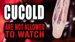 Cucold are not allow to watch