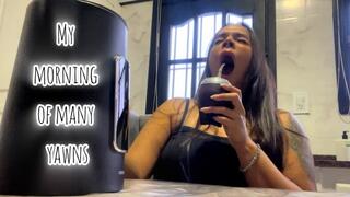 My morning of many yawns