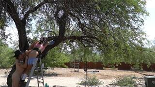 Interrupt Kitty's yardwork with fingering, a handjob and cum! On a ladder!