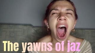 The yawns of jaz