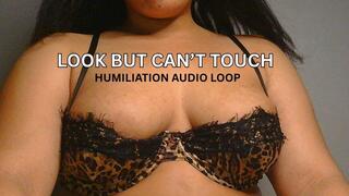 Never touch teasing humiliation loop