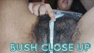 Worshipping my wild bush close up