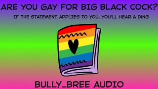 Are You Gay For BBC? Audio