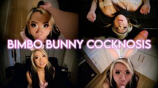 Bimbo Bunny Transformation