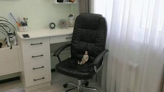 Sit on a chair with a doll and fart MP4 FULL HD 1080p