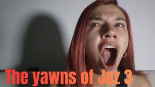 The yawns of Jaz 3