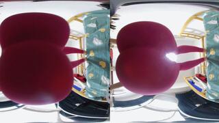 3DVR180 LELE Large Buttocks POV Squashed Dwarf