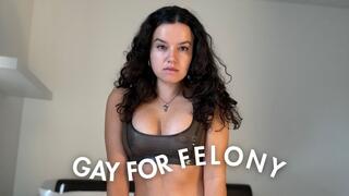 Gay For Felony