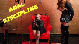 ANAL DISCIPLINE