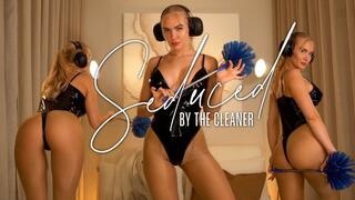 Seduced By The Cleaner